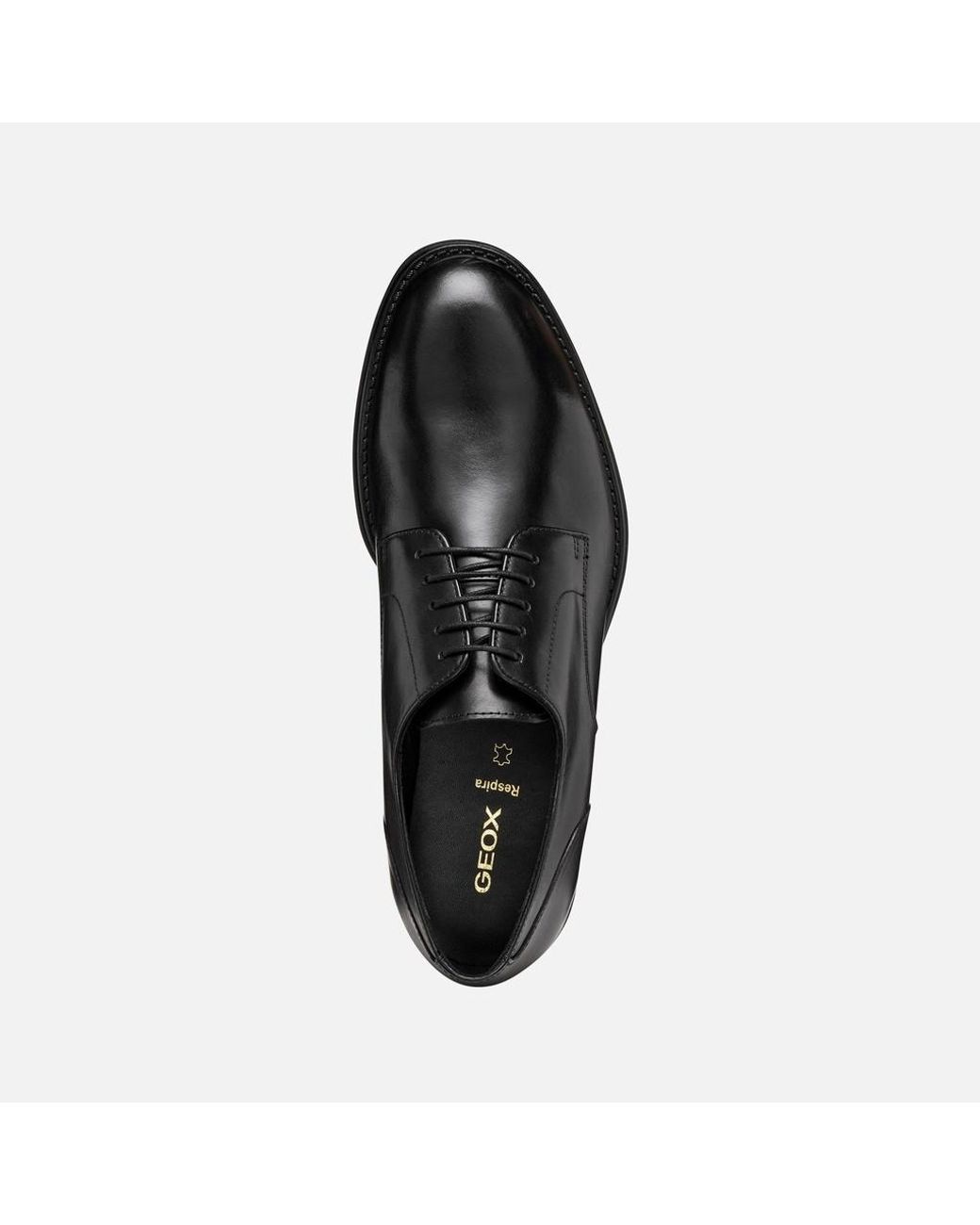 Geox Black Barberigo for men