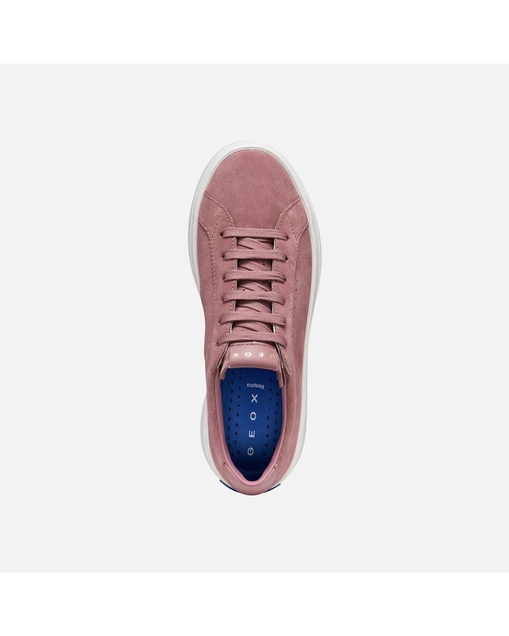 Geox Purple Gxcp-03