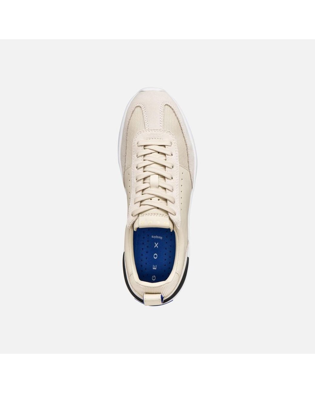 Geox Multicolor Gxrn-02