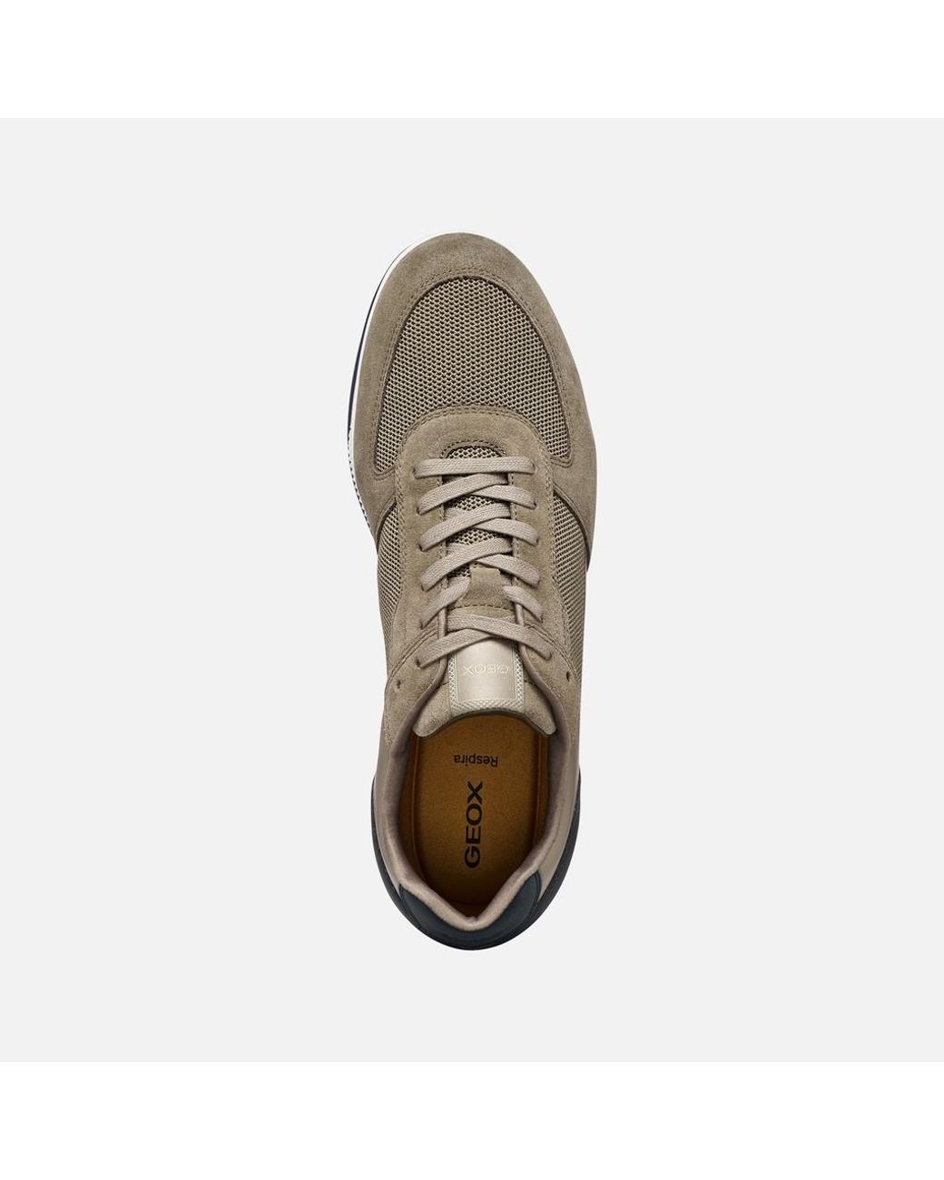 Geox Gray Spherica Actif X3 for men