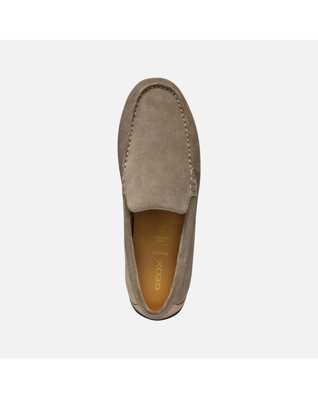 Geox Gray Spherica Ec16 for men