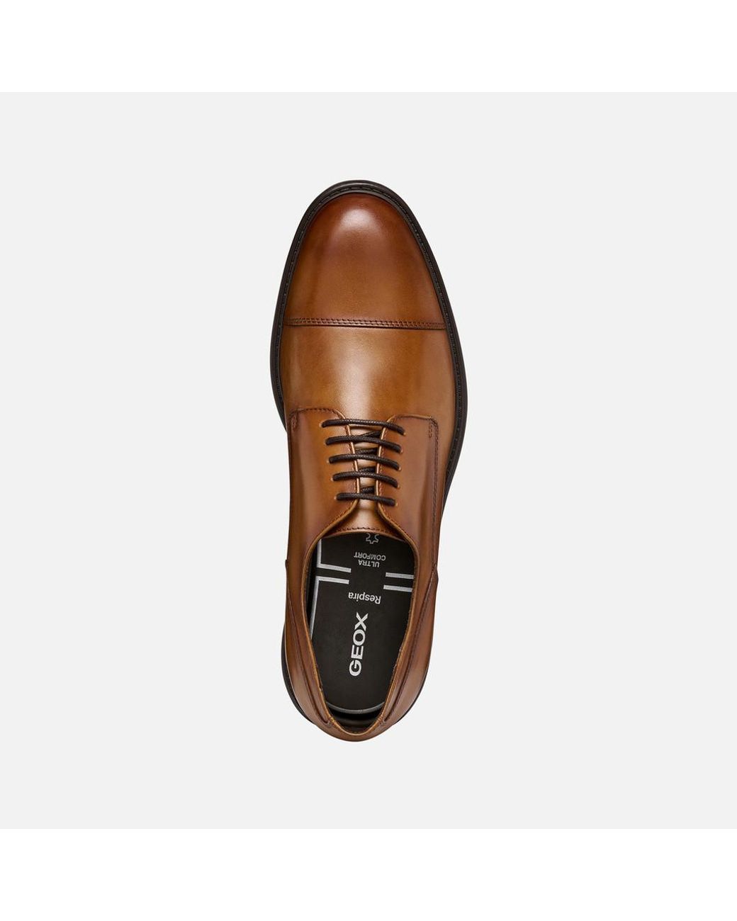 Geox Brown Walk Pleasure B for men