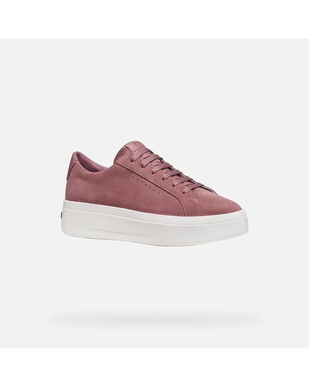 Geox Purple Gxcp-03