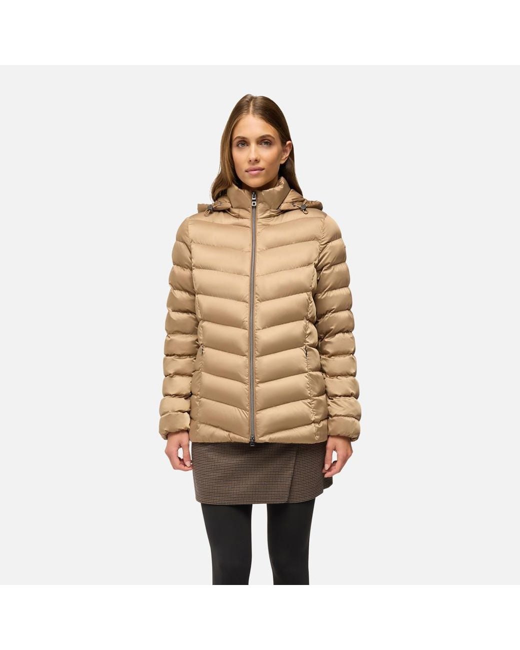 Geox Brown Zosma