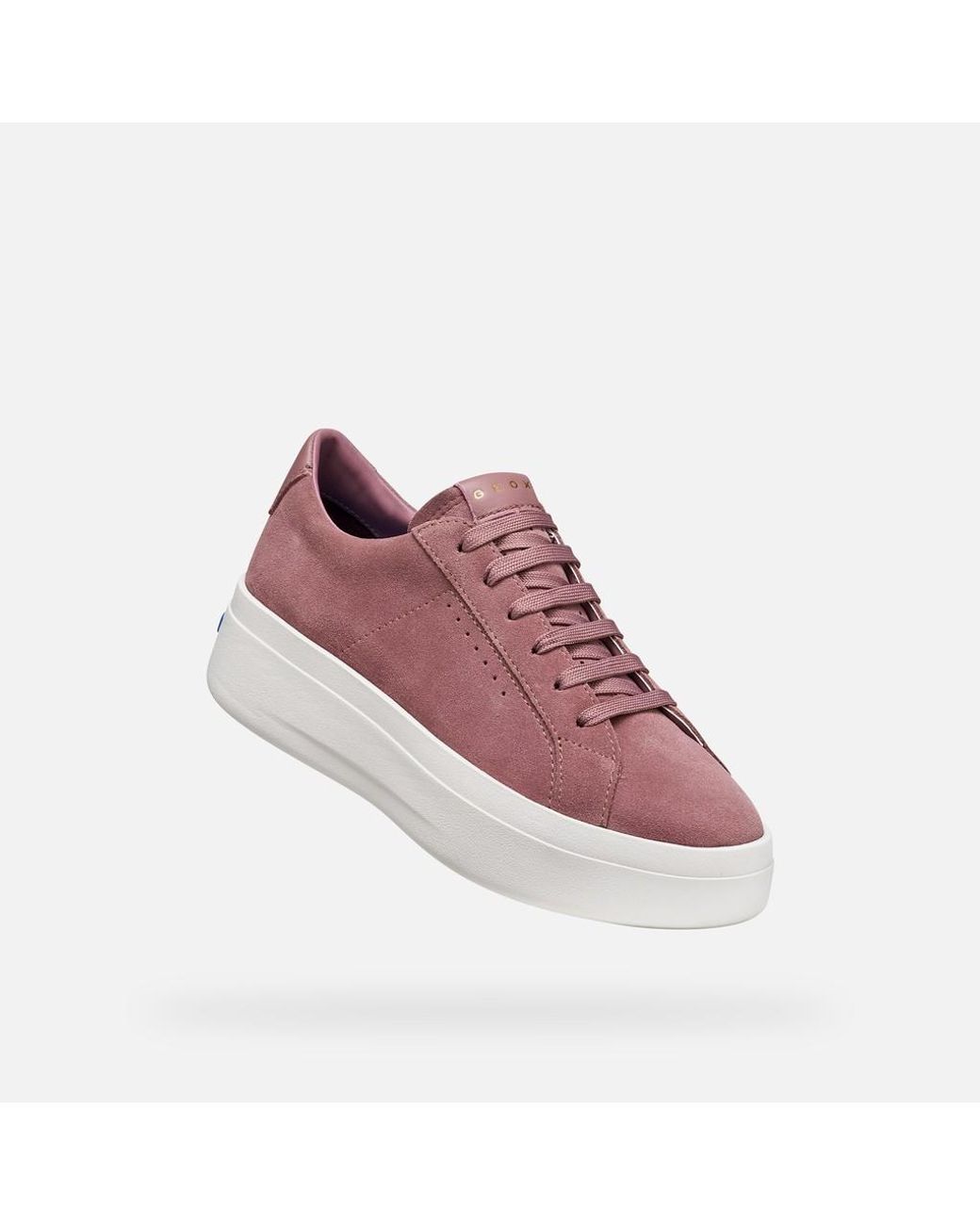 Geox Purple Gxcp-03