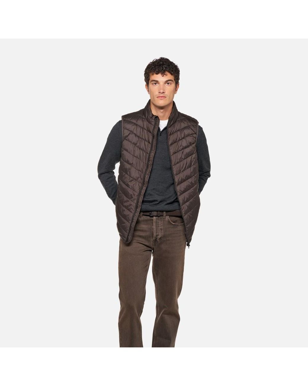 Geox Brown Wilmer for men