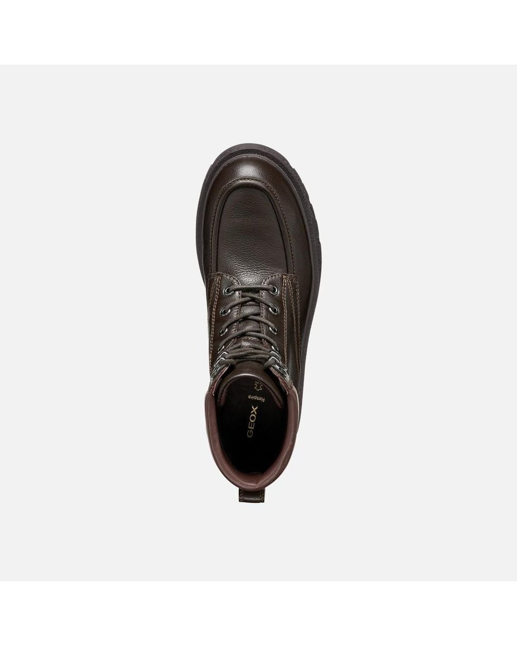 Geox Brown Eivette