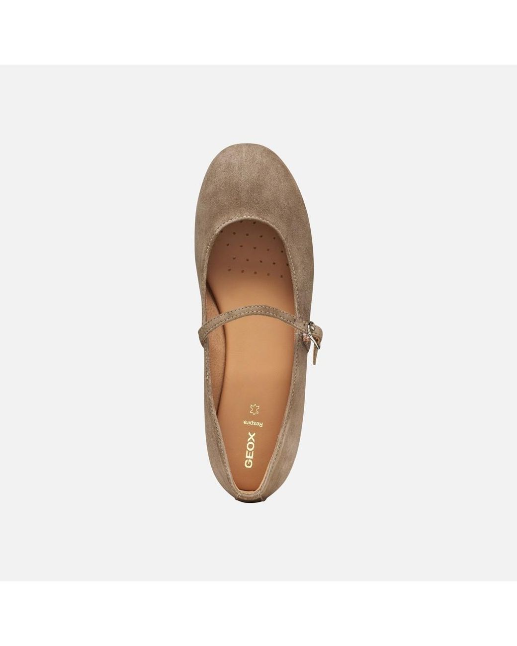 Geox Gray New Palmaria