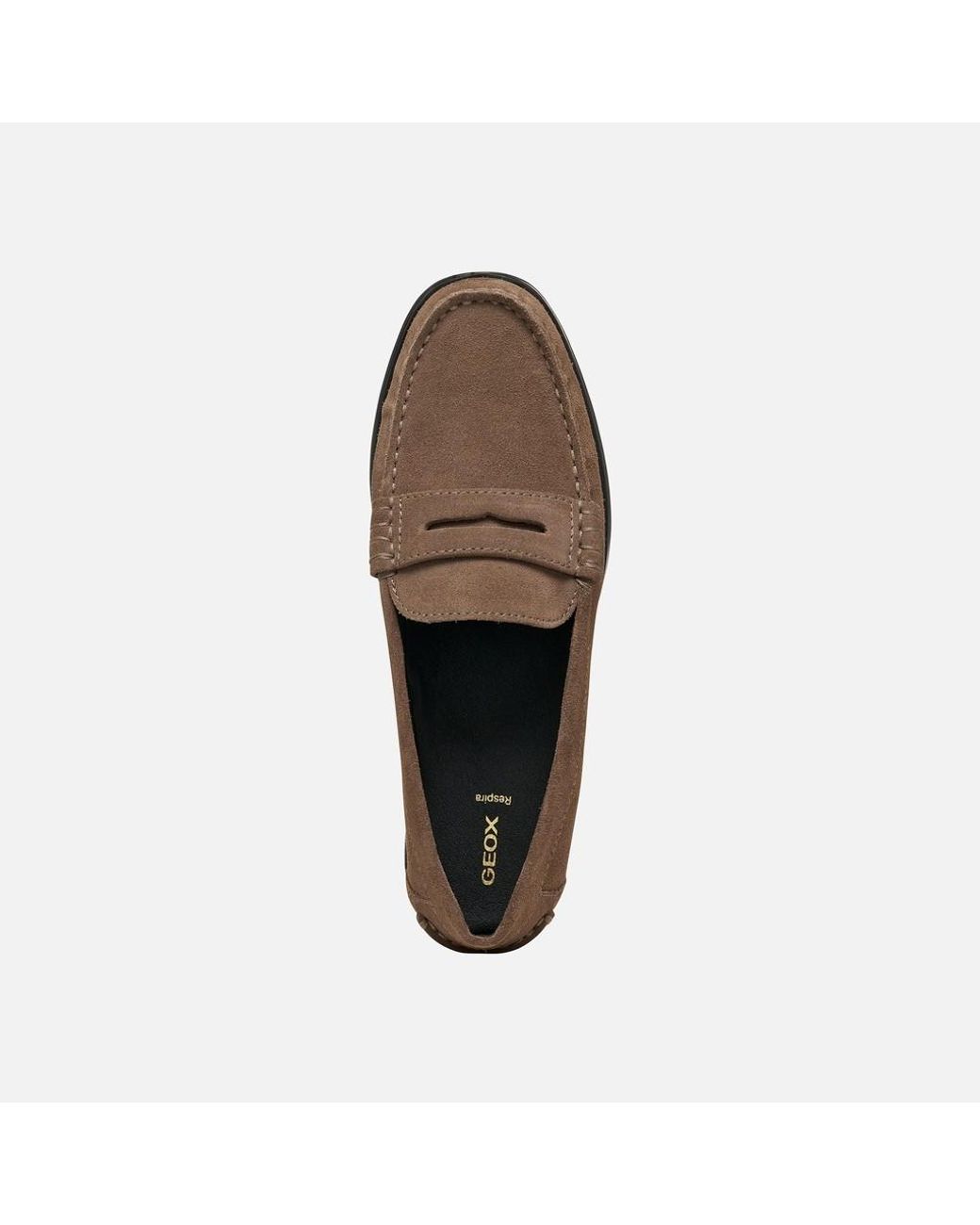 Geox Brown Noemen