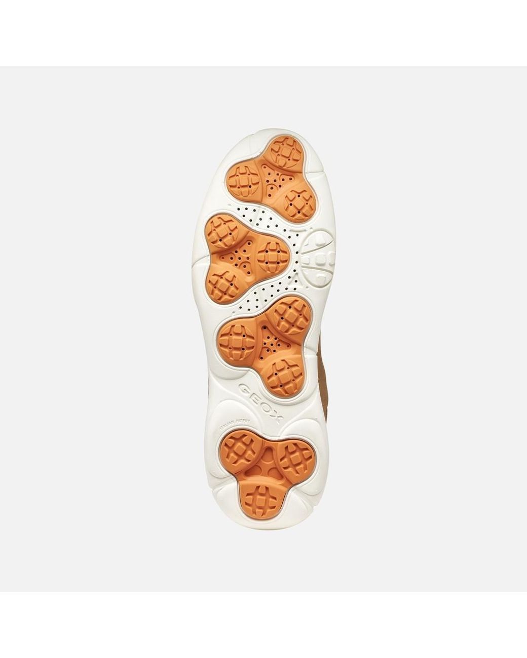 Geox Brown Nebula 2.0 Plus for men