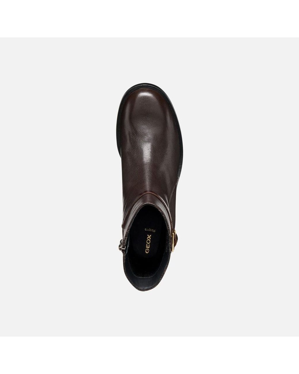 Geox Brown Sobima