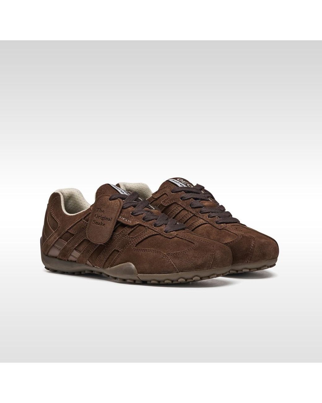 Geox Brown Snake