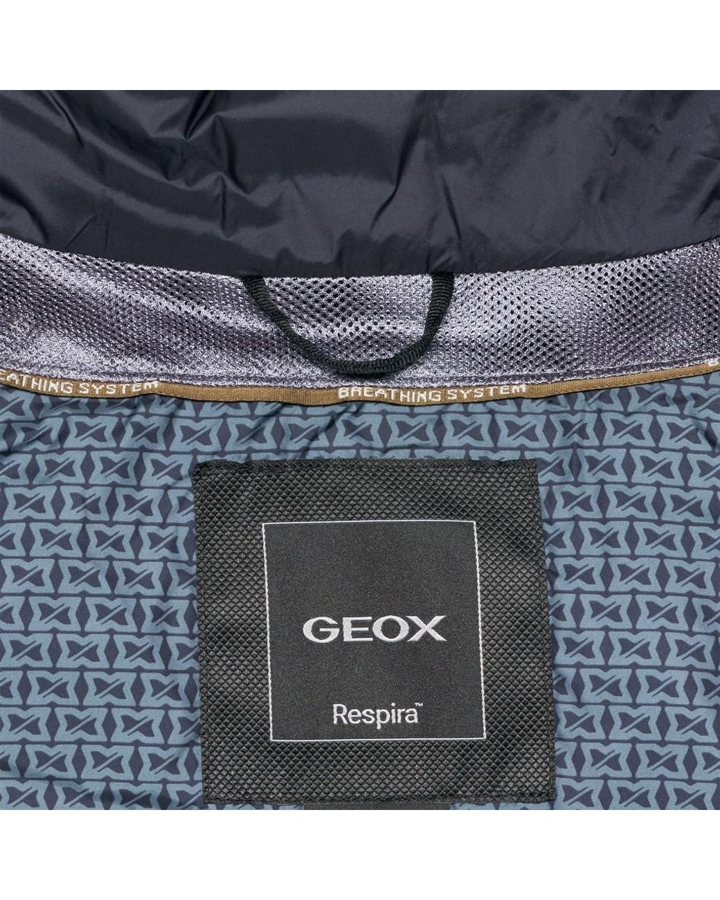 Geox Blue Wilmer for men