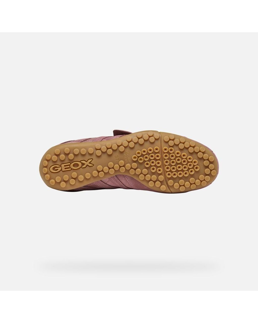 Geox Purple Snake