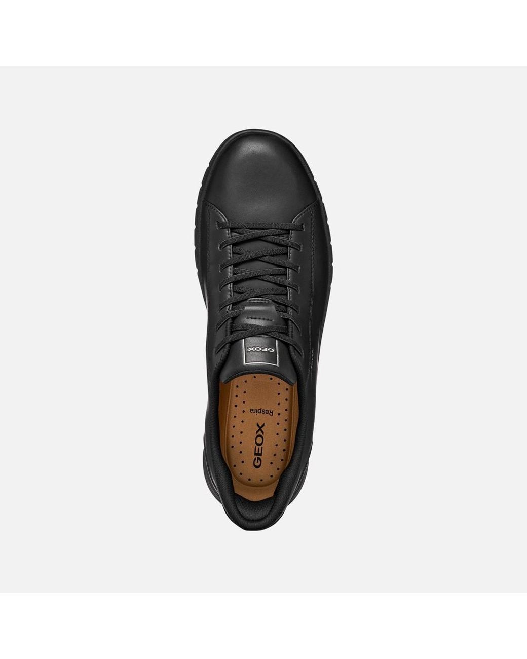 Geox Black Flextride Plus for men