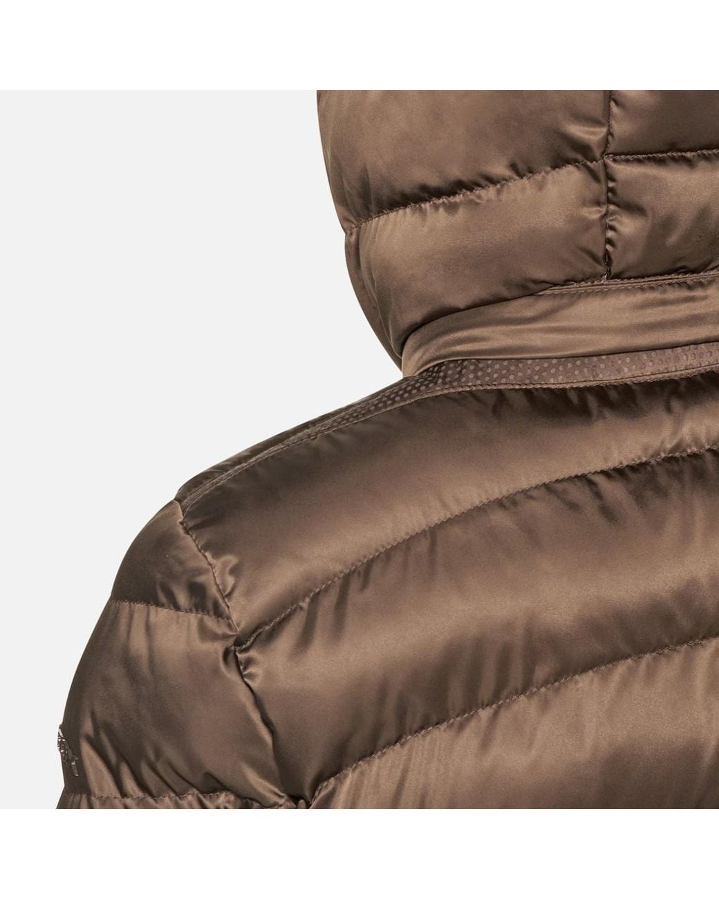 Geox Brown Zosma