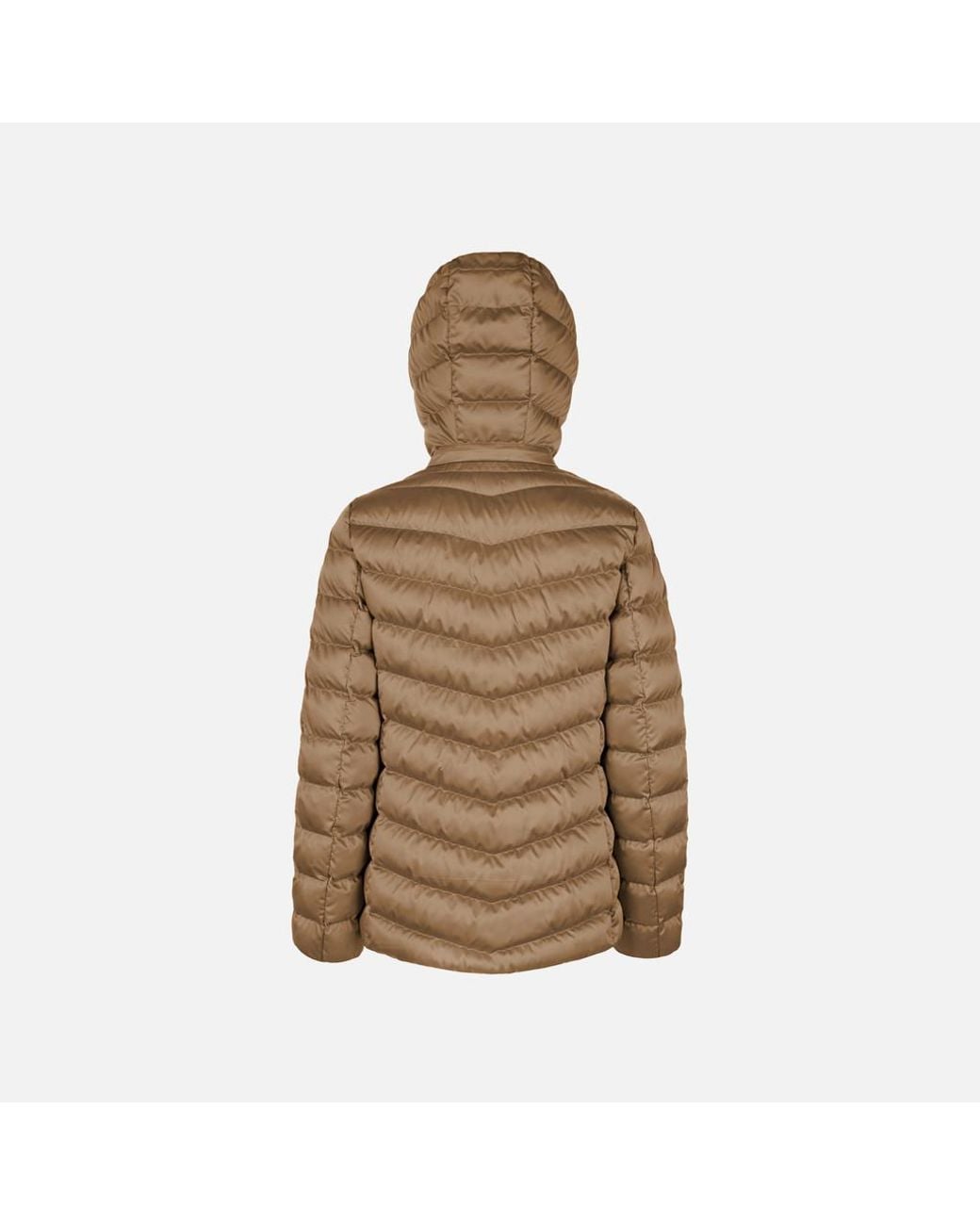 Geox Brown Zosma