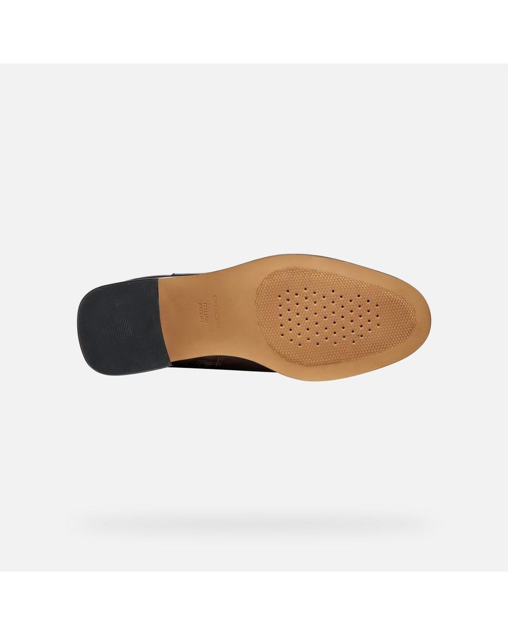 Geox Brown Alnoire