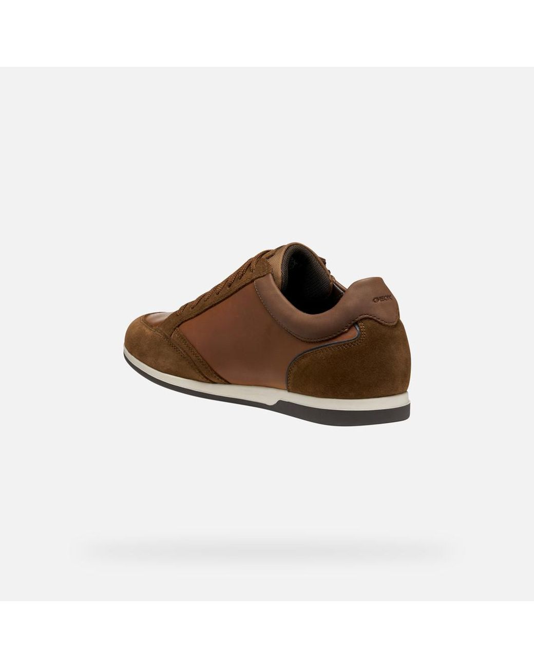 Geox Brown Renan for men