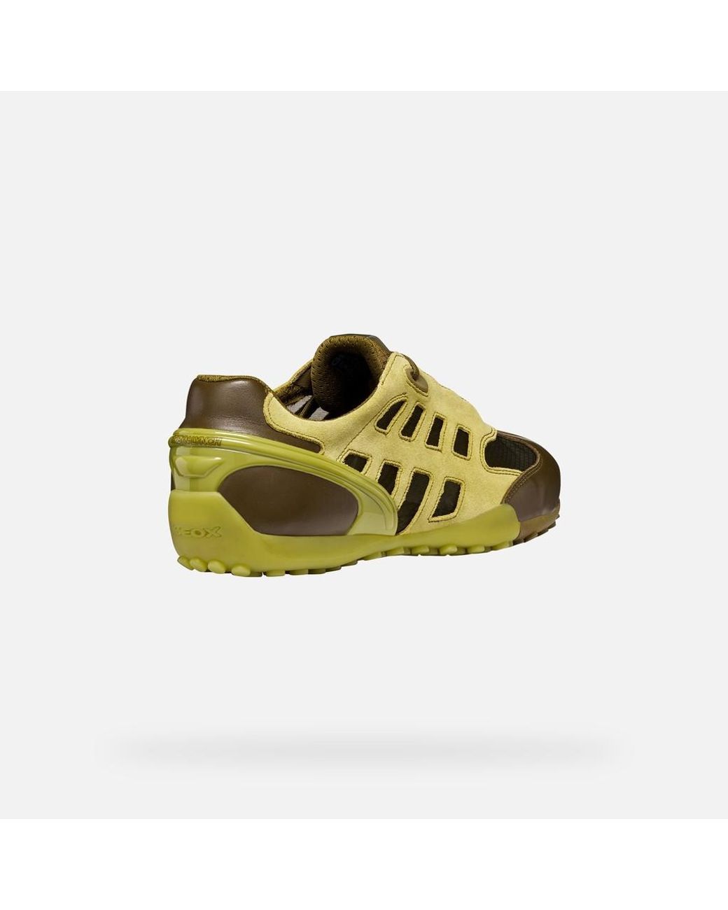 Geox Green Archive Snake for men