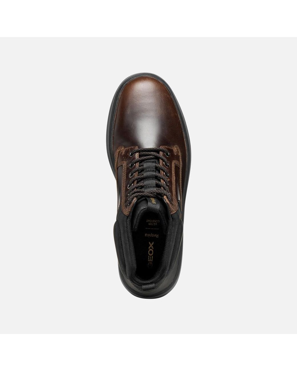 Geox Brown Spherica Ecub-1.1 Abx for men