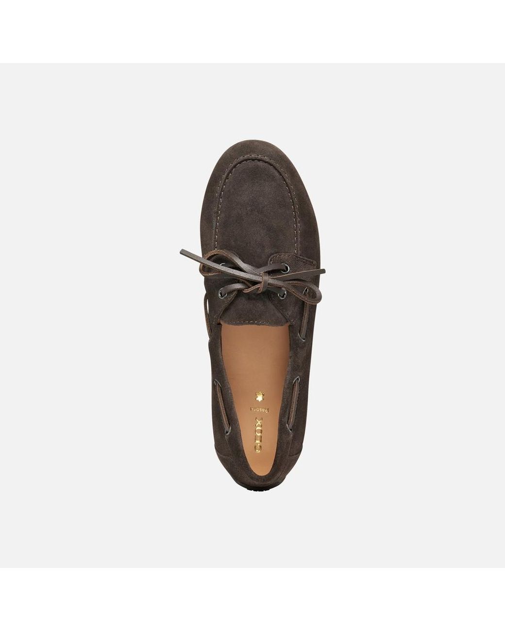 Geox Black Addisse