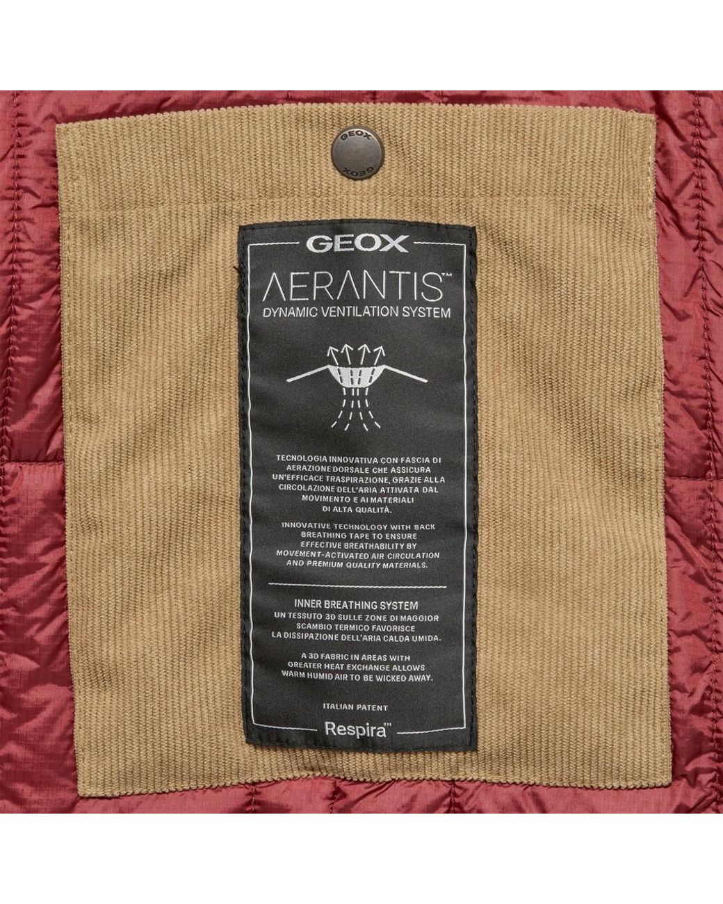 Geox Natural Graisy