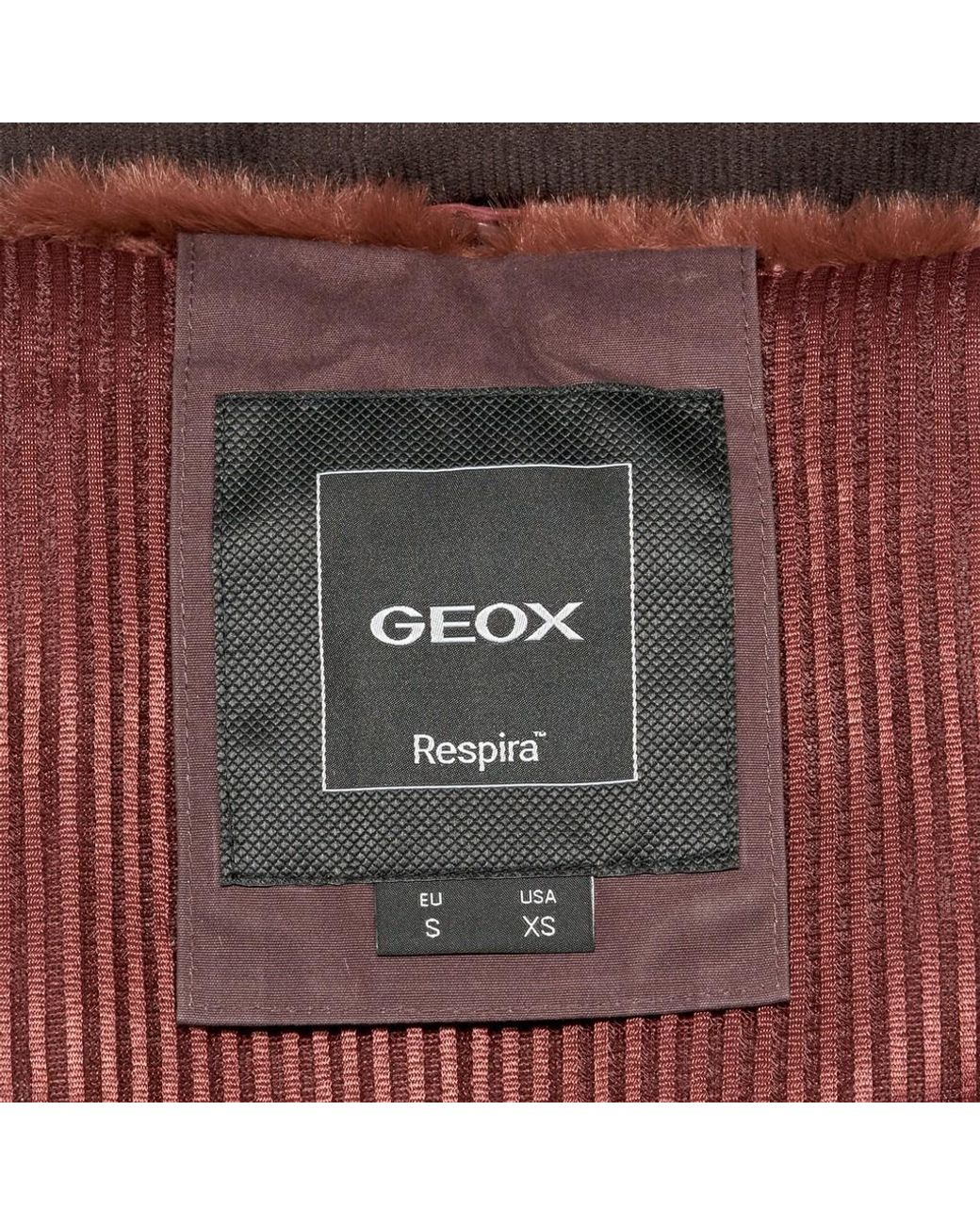 Geox Brown Graisy
