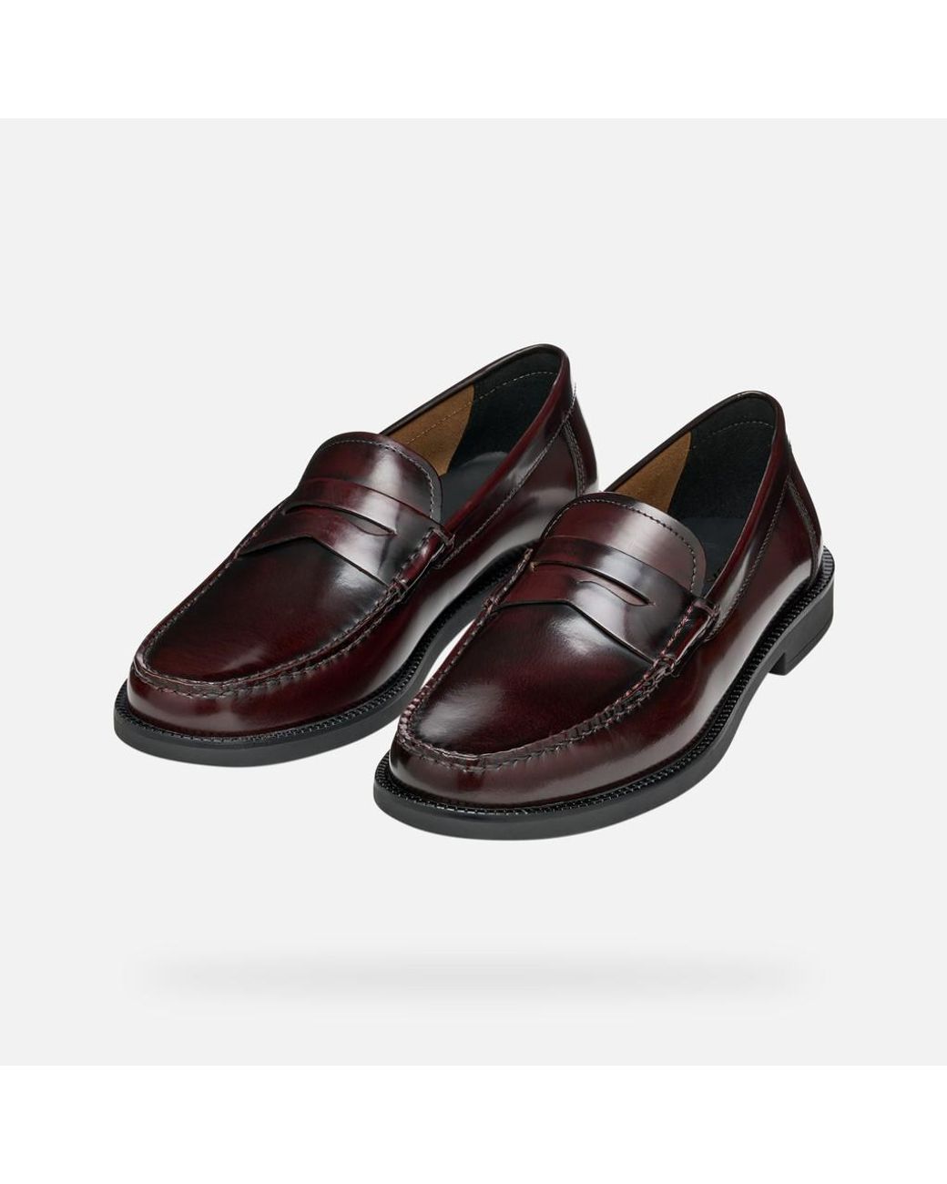 Geox Brown Recanati for men