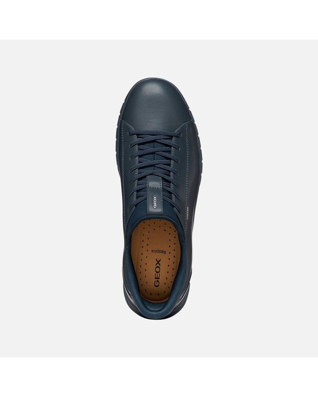 Geox Blue Flextride Plus for men