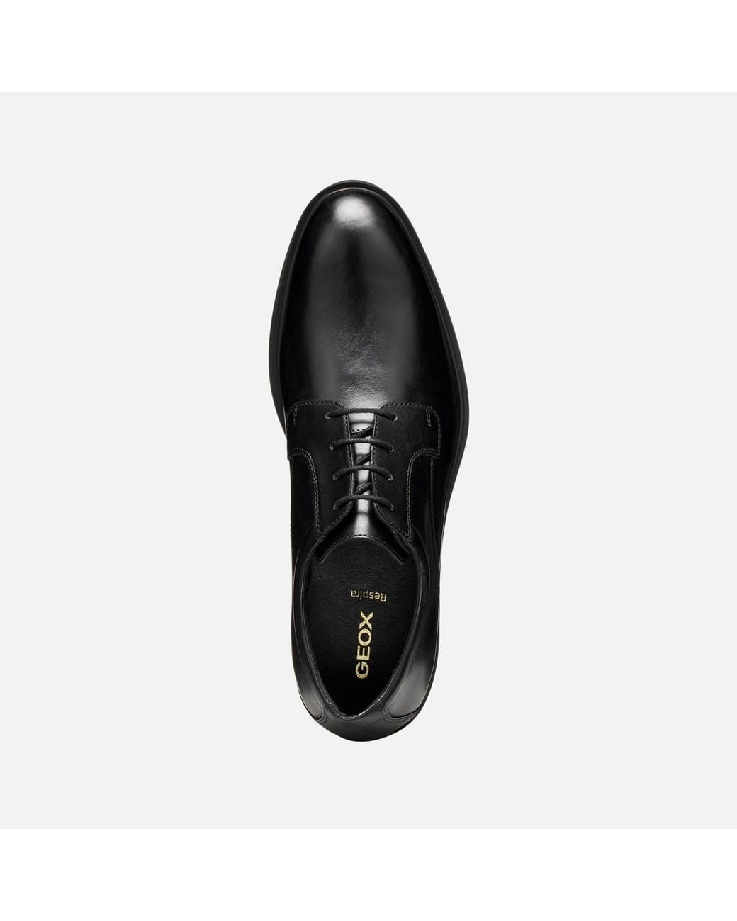 Geox Black Thorian for men