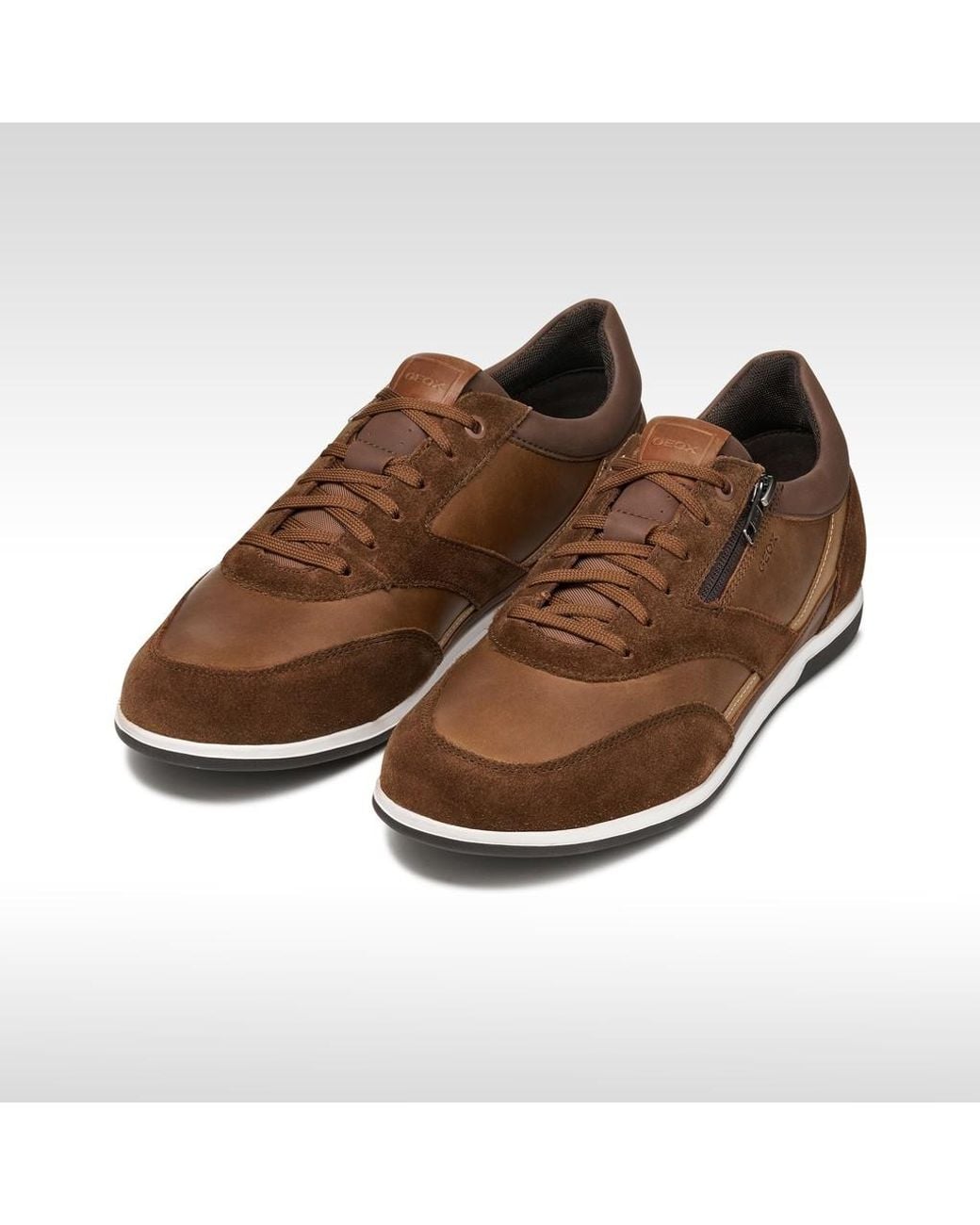 Geox Brown Renan for men
