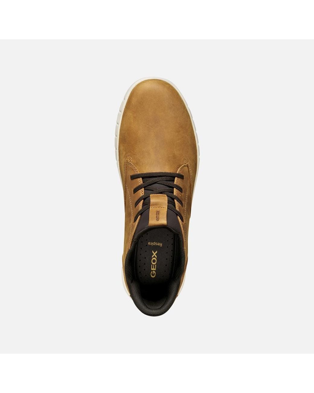 Geox Brown Flextride Plus for men