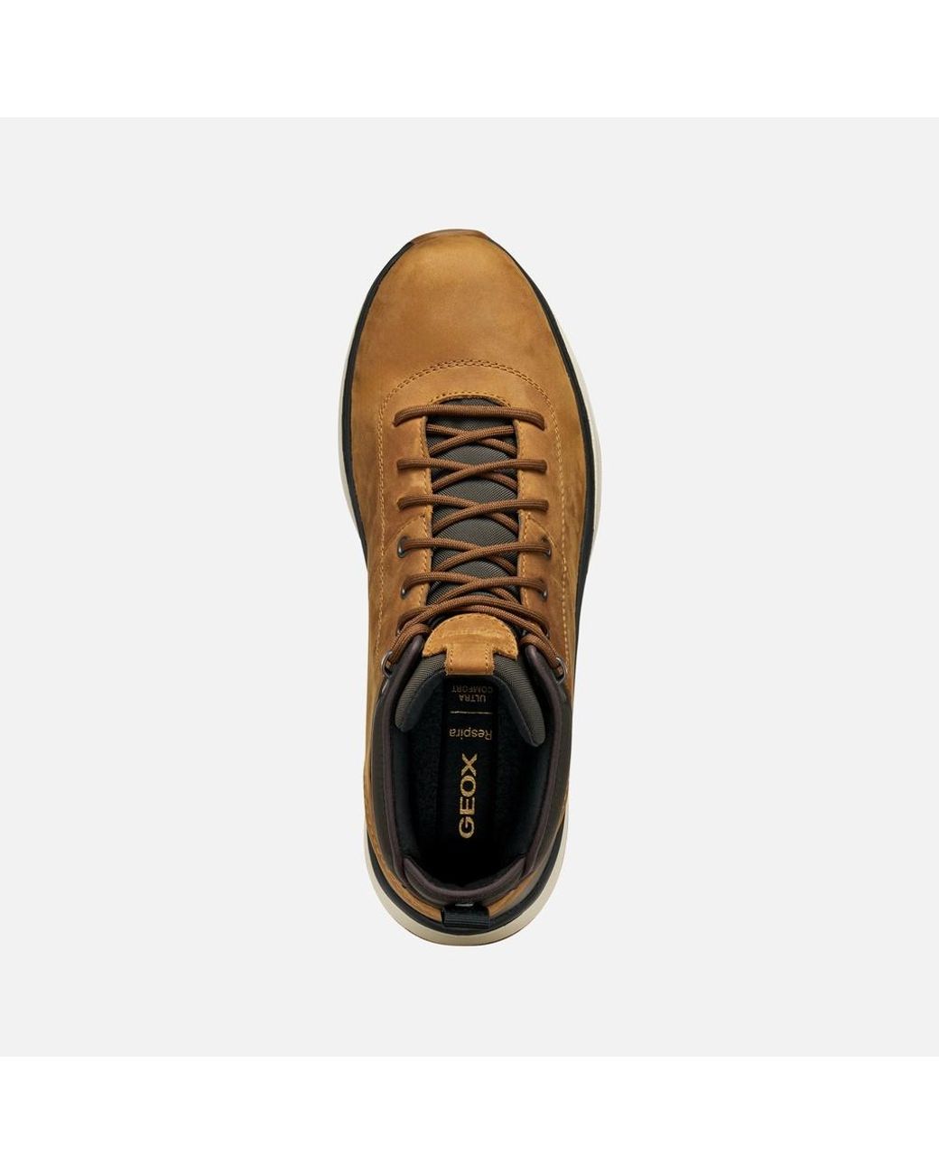 Geox Brown Spherica Actif X2 Abx for men