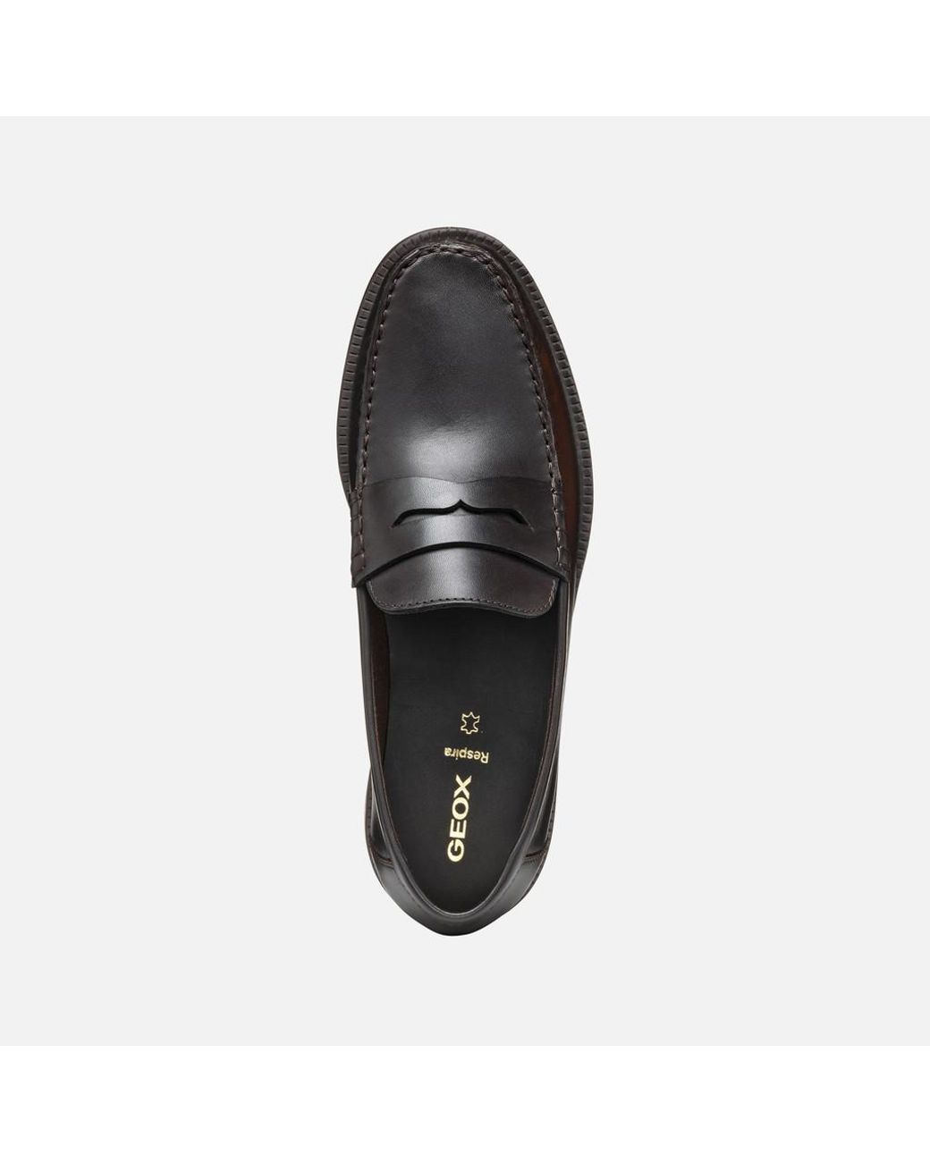 Geox Black Recanati for men
