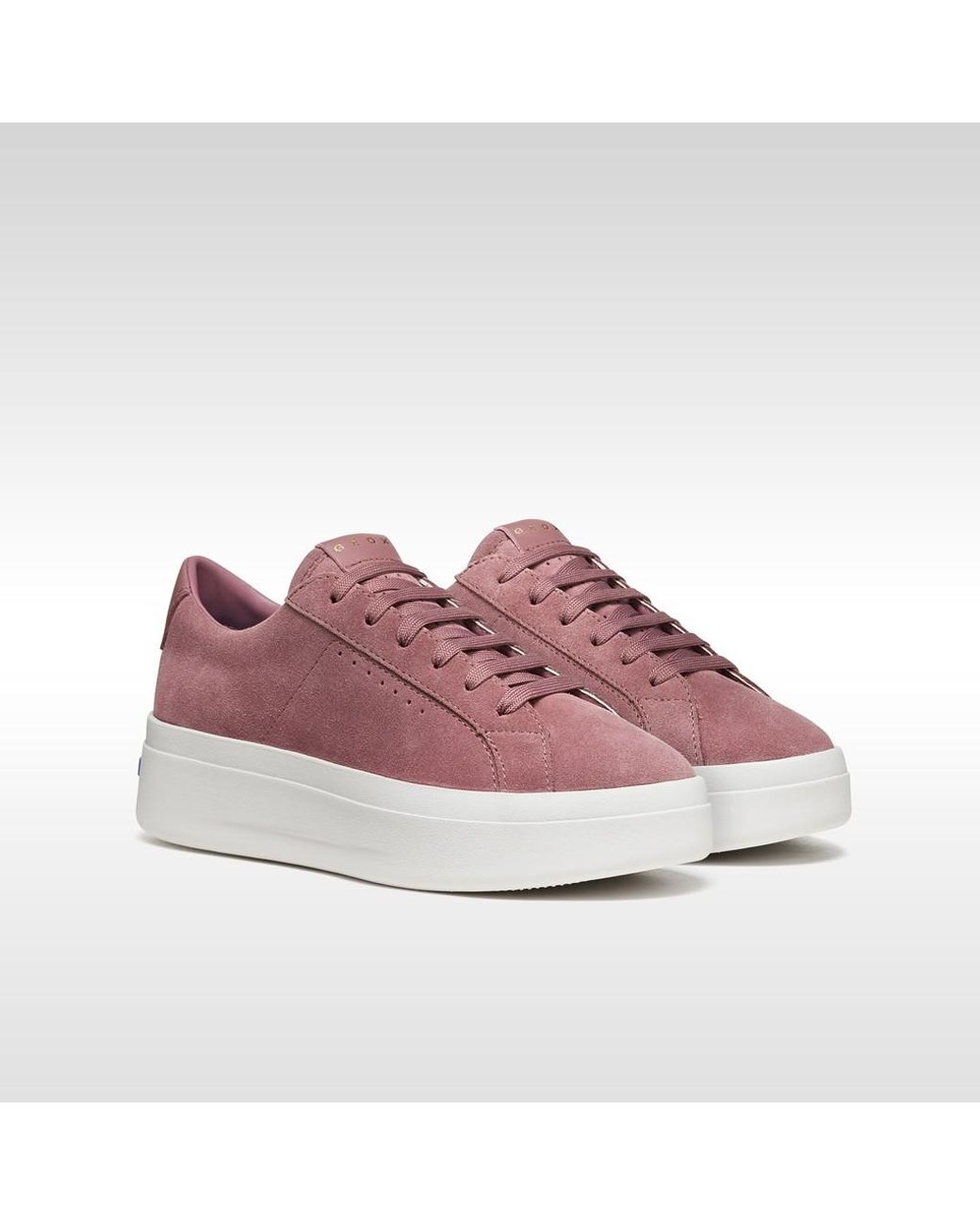 Geox Purple Gxcp-03