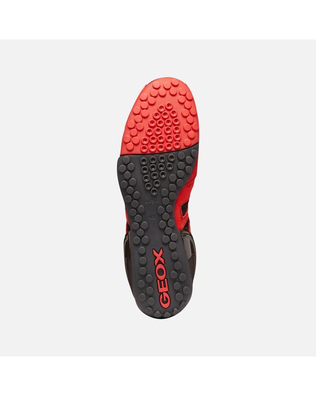 Geox Red Archive Snake for men