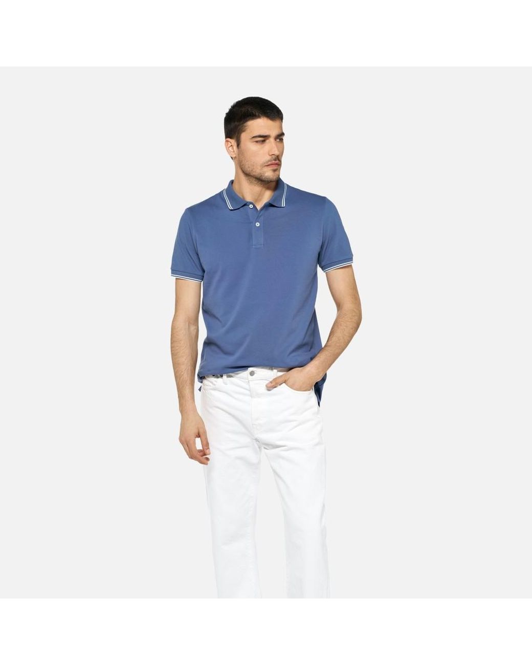 Geox Blue Polo for men