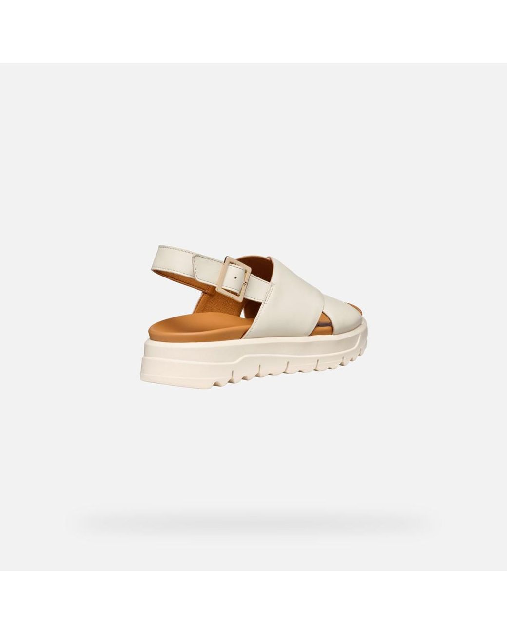 Geox Multicolor Xand 2.1S