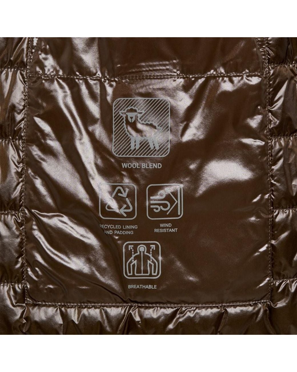 Geox Brown Kleopy