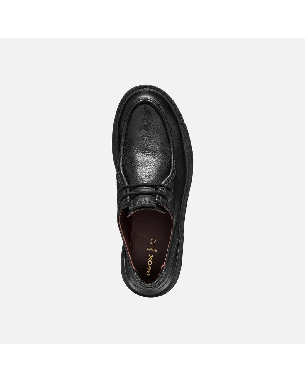 Geox Black Eivette Dame