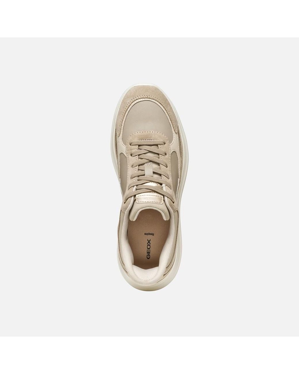 Geox Natural Plummery Plus