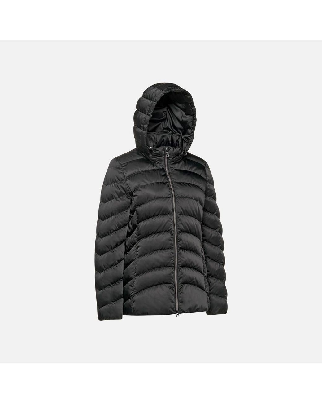 Geox Black Zosma