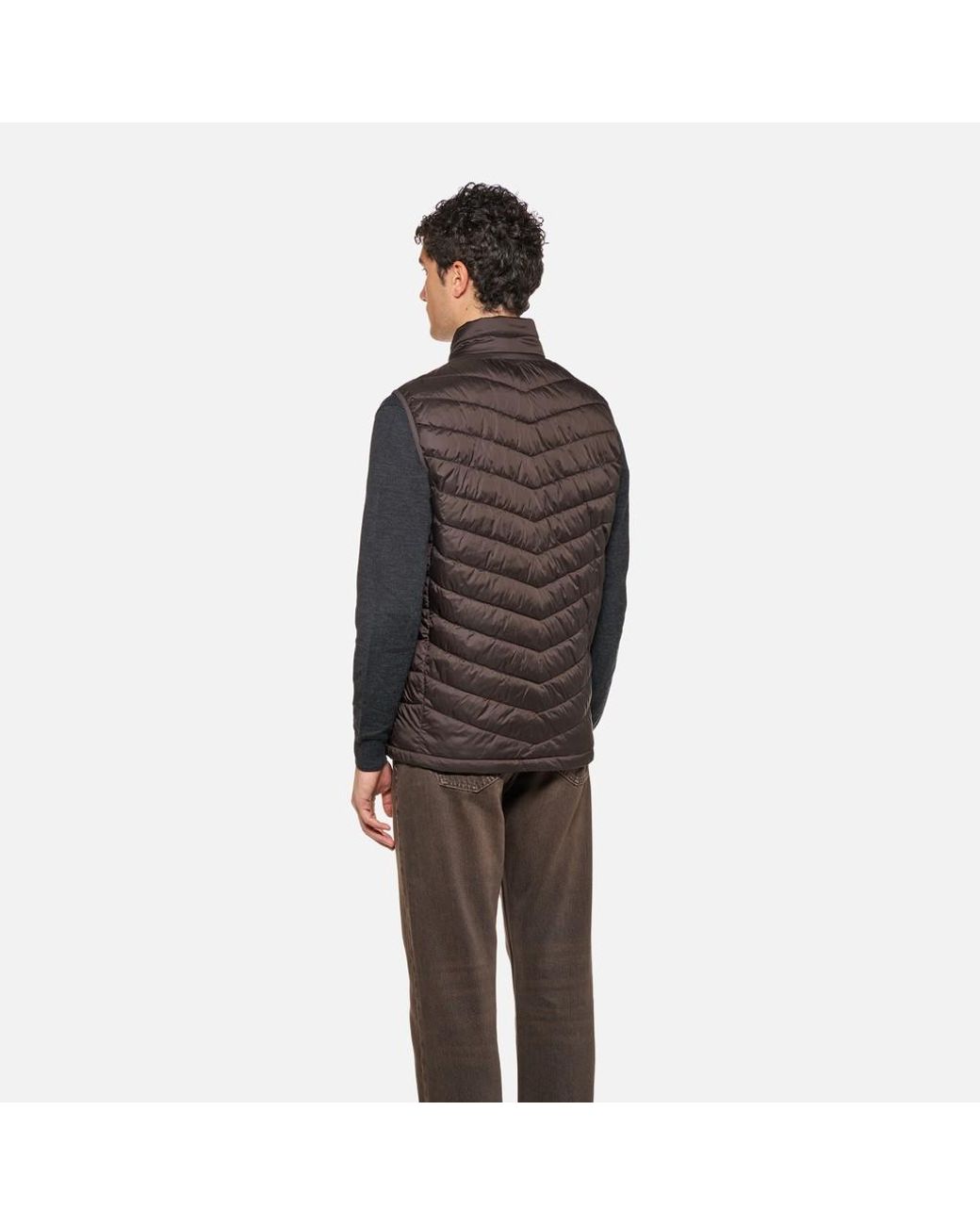 Geox Brown Wilmer for men