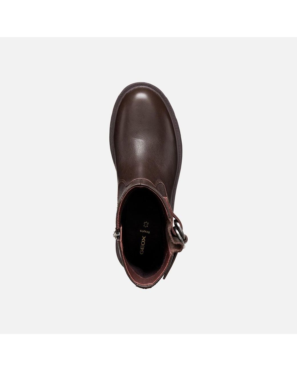 Geox Brown Eivette