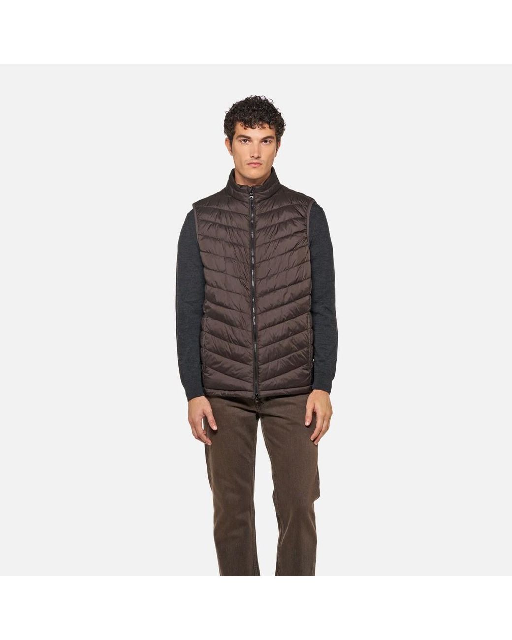 Geox Brown Wilmer for men