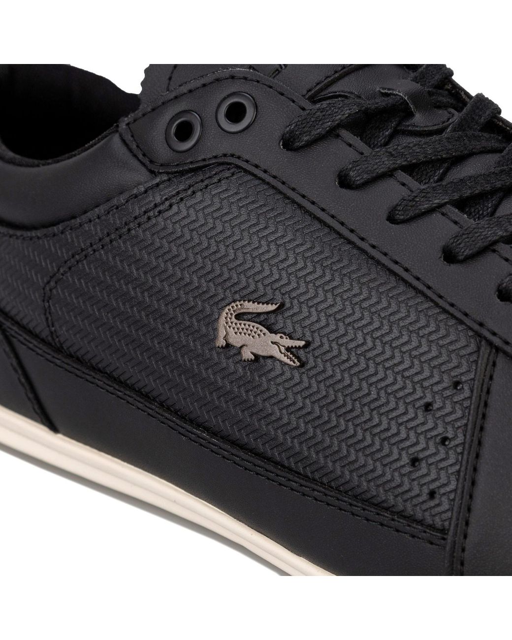 lacoste mens evara trainers