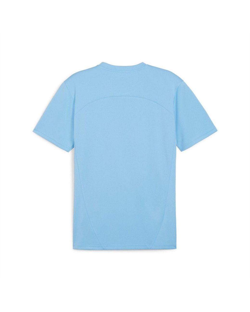 PUMA Blue Training Jersy for men