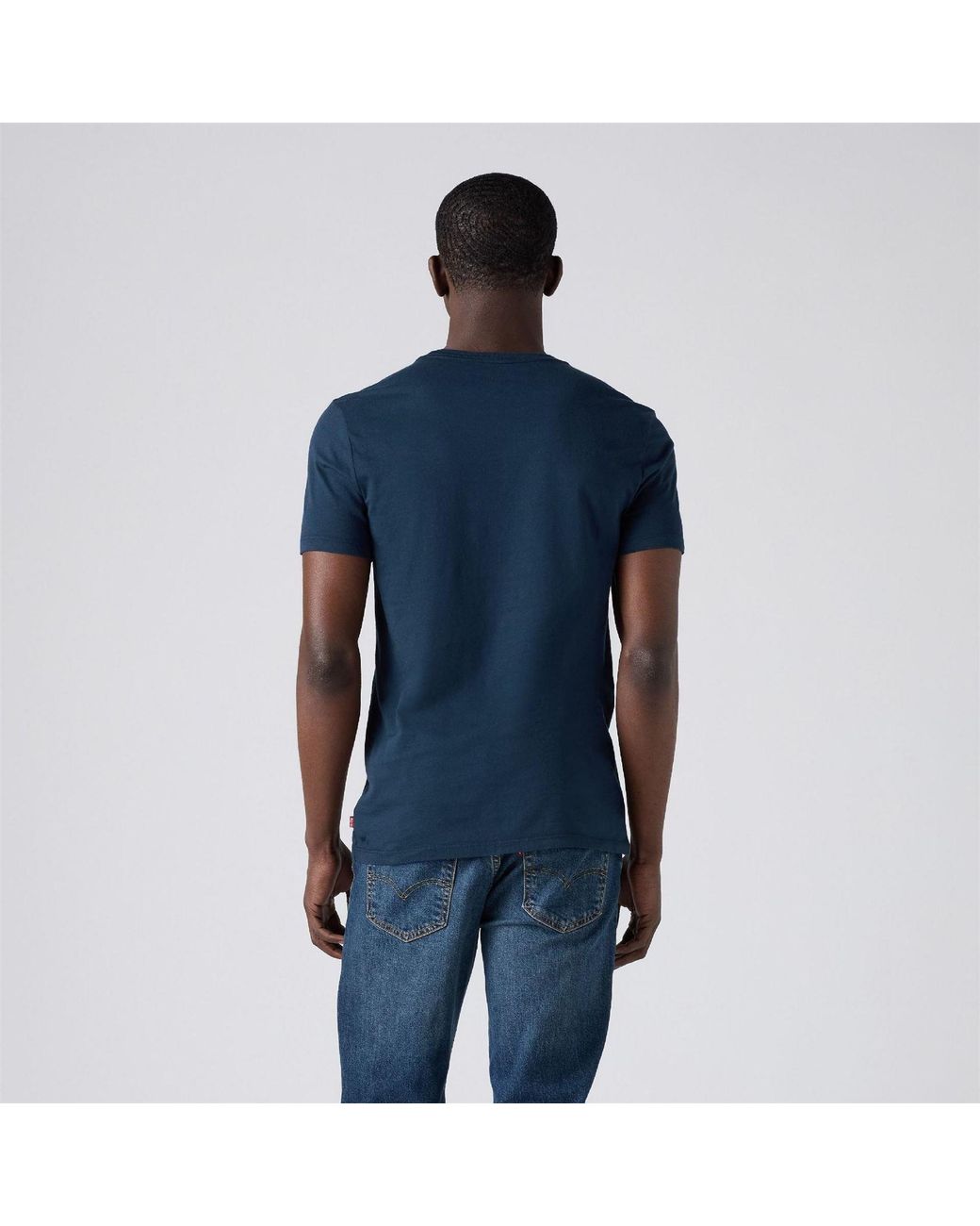 Levi's Blue Wordmark 2 Pack T-Shirts for men