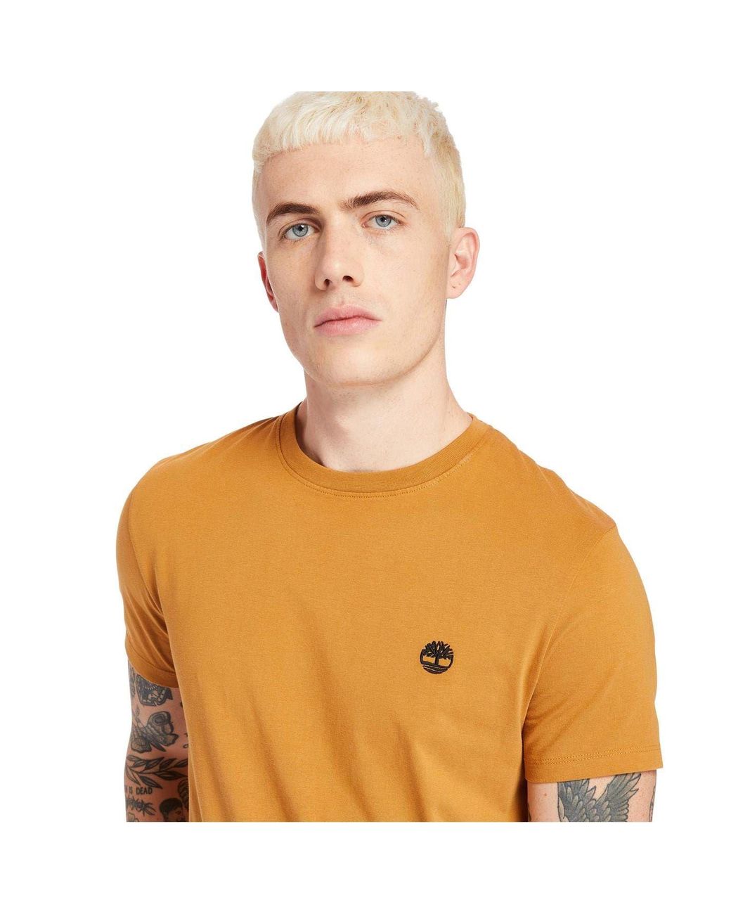Timberland Brown River Tee for men